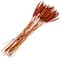Dried Plant Bunny Tail Natural Foliage with Long Stems